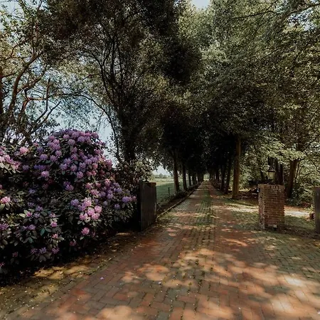 Kurzenmoor - Sommerhaus, 100 Qm